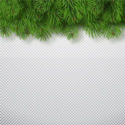 Christmas tree branches background vector