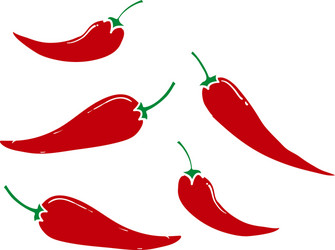 doodle fresh red hot chili pepper kitchen organic vector