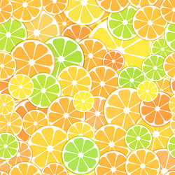 seamless pattern background sliced halves vector image