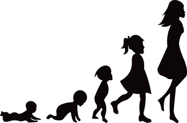 Baby development icon Royalty Free Vector Image