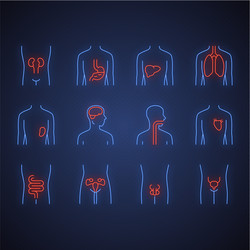 Healthy human organs neon light icons set throat vector