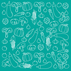 print pattern background design with white line vector image