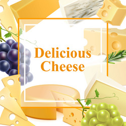 realistic cheese frame background vector