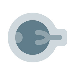 Eye ball has a number of components which include vector