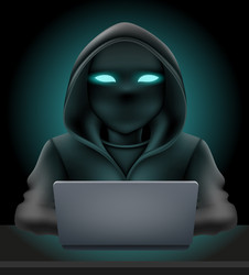 young hacker programmer it specialist coder vector image