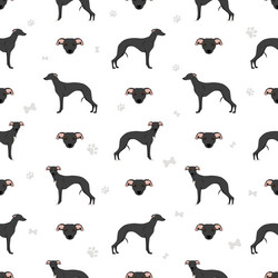 Whippet seamless pattern different poses coat vector