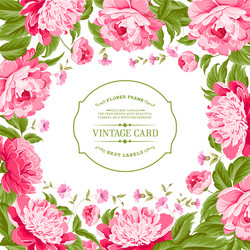 Beautiful peonies Royalty Free Vector Image - VectorStock