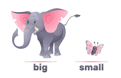 Big And Small Vector Art & Graphics