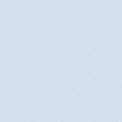Intricate Ethnic Pattern vector image