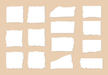 rough paper edge set rectangle torn shape border vector image