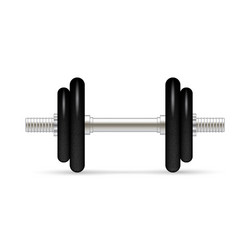 dumbbell with removable disks vector