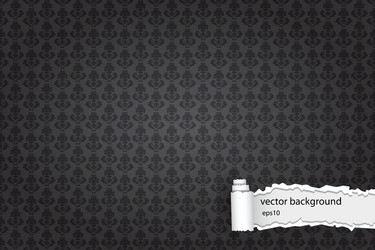 Background with damask pattern vector