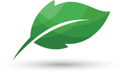 Green leaf isolated white background Royalty Free Vector