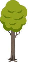 tree flat icon vector image