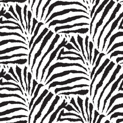 Zebra Pattern Seamless Texture vector image
