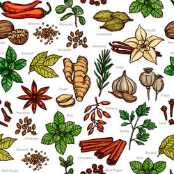 Herb & Spice Sketch Pattern Vector Image