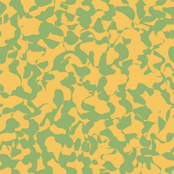 colored camouflage pattern vector image