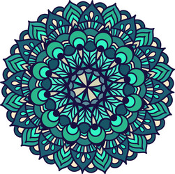 color ornament mandala vector