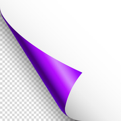 violet paper curl curled page corner with shadow vector image