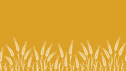 seamless food pattern stripe with wheat oat vector image