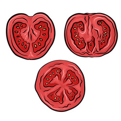 set a tomato in cut color objects separate vector image