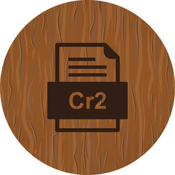 Cr2 file document icon vector
