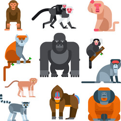 monkey Vector Image