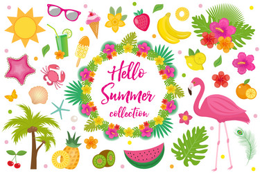 Tropical Summer Elements Flat Vector Image