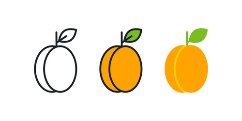 Apricot icon linear color contour shape vector