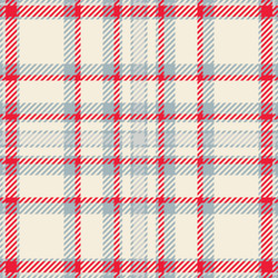 variation pattern fabric check shabby texture vector image