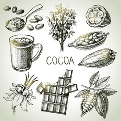 Cocoa Bean Chocolate Sketch Set vector image
