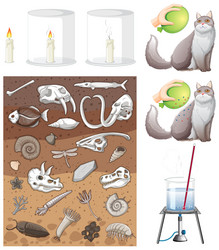 set of equipment needed for science experiment vector image