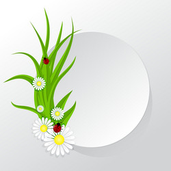 circle frame with grass and chamomiles vector