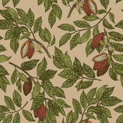 seamless pattern with twigs of cocoa vector