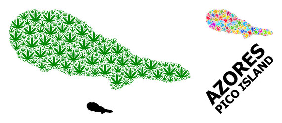 mosaic map pico island bright vector image