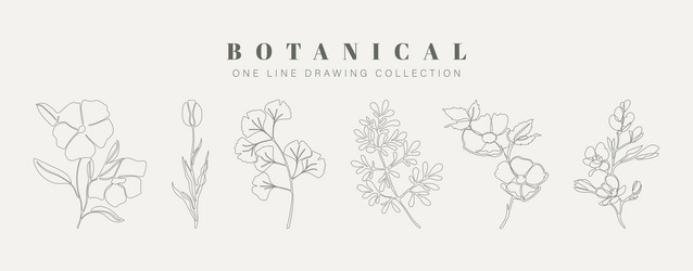botanical arts hand drawn continuous line drawing