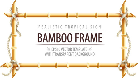 Bamboo frame pattern Royalty Free Vector Image