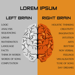 Brain side function vector