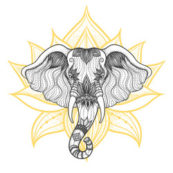 head of a elephant boho design indian god ganesha Vector Image