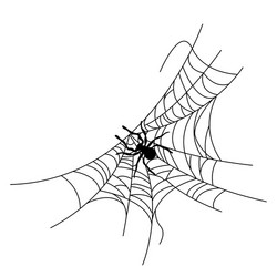 set spider web different shapes with black vector image