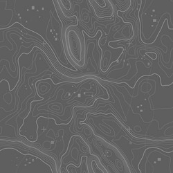 seamless topographic map background line vector