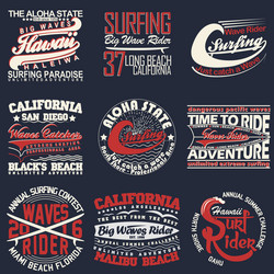 Surf & Beach T-Shirt Graphics Vector Image