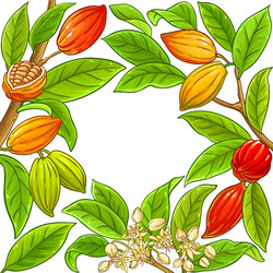 Cocoa branches frame on white background vector