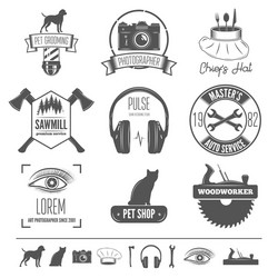 Retro vintage insignias set design vector