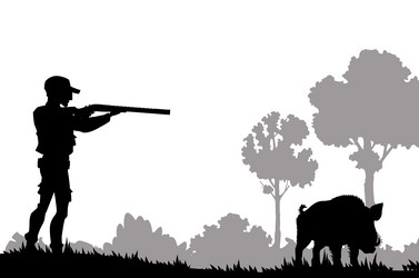 hunting silhouette hunter with shotgun and boar Vector Image