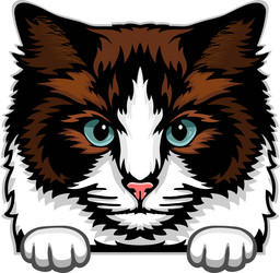 Peeking Cat Chatting Icon 18792793 Vector Art at Vecteezy