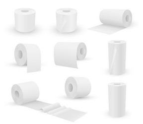 Toilet paper and towel rolls in different vector