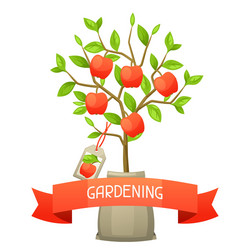 Seedling apple tree with tag vector