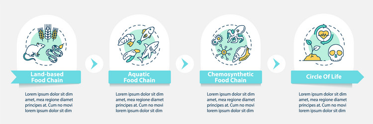 Food chain infographic template biological vector