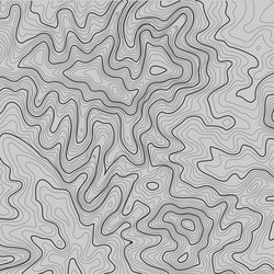 topographic map background with space for copy vector image